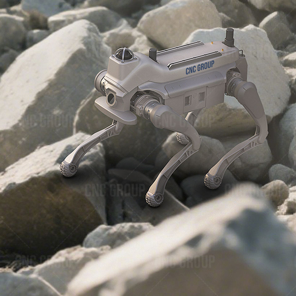 图片 (2) 图片 (2)