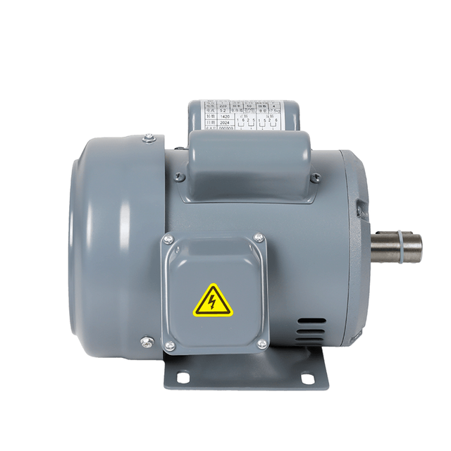 ZF Iron Shell มอเตอร์ตัวเก็บประจุคู่แนวนอนเดี่ยว