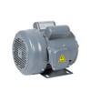 ZF Iron Shell มอเตอร์ตัวเก็บประจุคู่แนวนอนเดี่ยว
